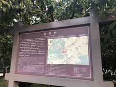 -龙井村