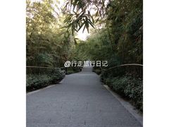 -竹林寺