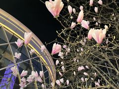 -中粮·祥云小镇