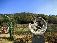 -龙寺生态园