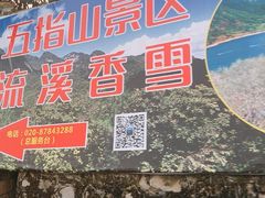 -广州市流溪河国家森林公园