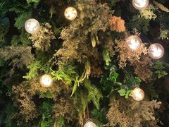 -深圳威尼斯英迪格酒店-邻芙花廊下午茶·NINFA GALLERY·蛋糕·咖啡