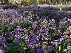 -白塘生态植物园