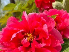 -北京西山国家森林公园