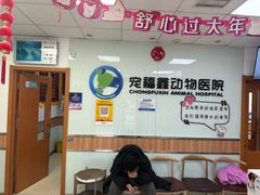 -宠福鑫动物医院(城北分院)