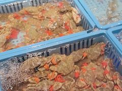 -青岛蓝海御华大饭店（金沙滩店）·蓝钻国际美食自助百汇