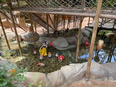 -杭州开元森泊度假乐园