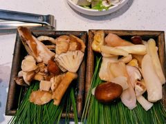 -木王宴语·野生鲜菌火锅(玉河店)
