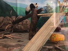 -南宁市动物园