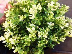 -愉肴麻辣香锅(中山路店)