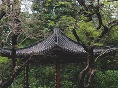-四海公园(南山区)