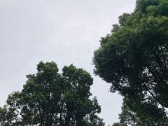 -养云安缦·廊