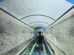 -藏山旅游风景区