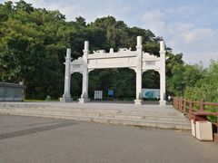 -羚羊峡古栈道森林公园
