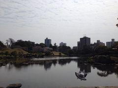 水前寺成趣园-水前寺成趣园