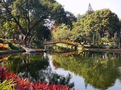 -晓港公园