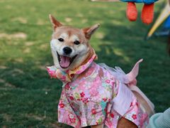 -ALDI奥乐齐超市(徐汇大木桥店)