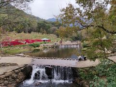 -广州市石门国家森林公园