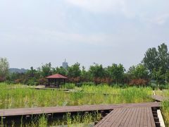 -永定河休闲森林公园