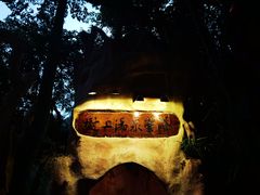 -天门沟九州驿站树上汤泉