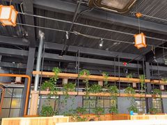 -桃源村铁锅炖鱼(体育馆道店)