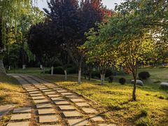 -济南国际园博园