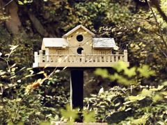 -云峰山自然风景区