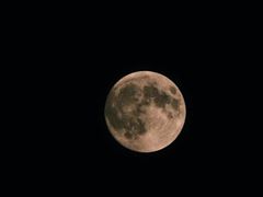 -卓粤拉肠(红庙店)