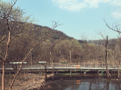 -西湖风景区-江洋畈生态公园