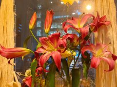 -山茶云南菜(中关村店)