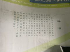 -盐城丹顶鹤湿地生态旅游区