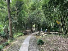 -兰亭风景区