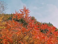 -老象峰