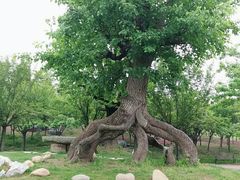 -南通洲际绿博园