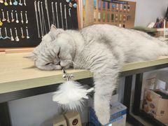 -Oasis绿洲银饰珍珠手作diy(壹方城店)