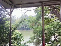 -天鹿湖森林公园