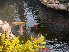 -鲤院·新中式美学·庭院餐厅(夫子庙店)