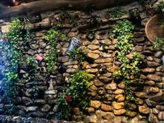 -一桶江山餐厅(松北店)