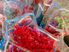 -中环花鸟鱼虫市场