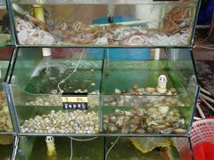 水产区-四海鲜渔家菜(黄金海岸店)