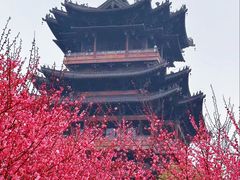 -杭州半山国家森林公园