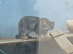 -青藏高原野生动物园
