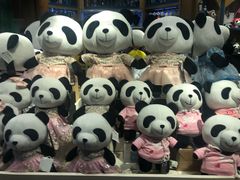 -熊猫屋(宽窄巷子景区店)