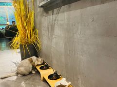 -咖法森林·咖啡  酒吧(天河店)