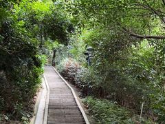 -板樟山森林公园