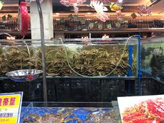 -东江海鲜酒家(艺都分店)