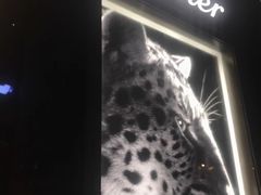 -卡地亚(贵和精品店)