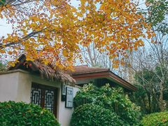 -思念果岭悦温泉