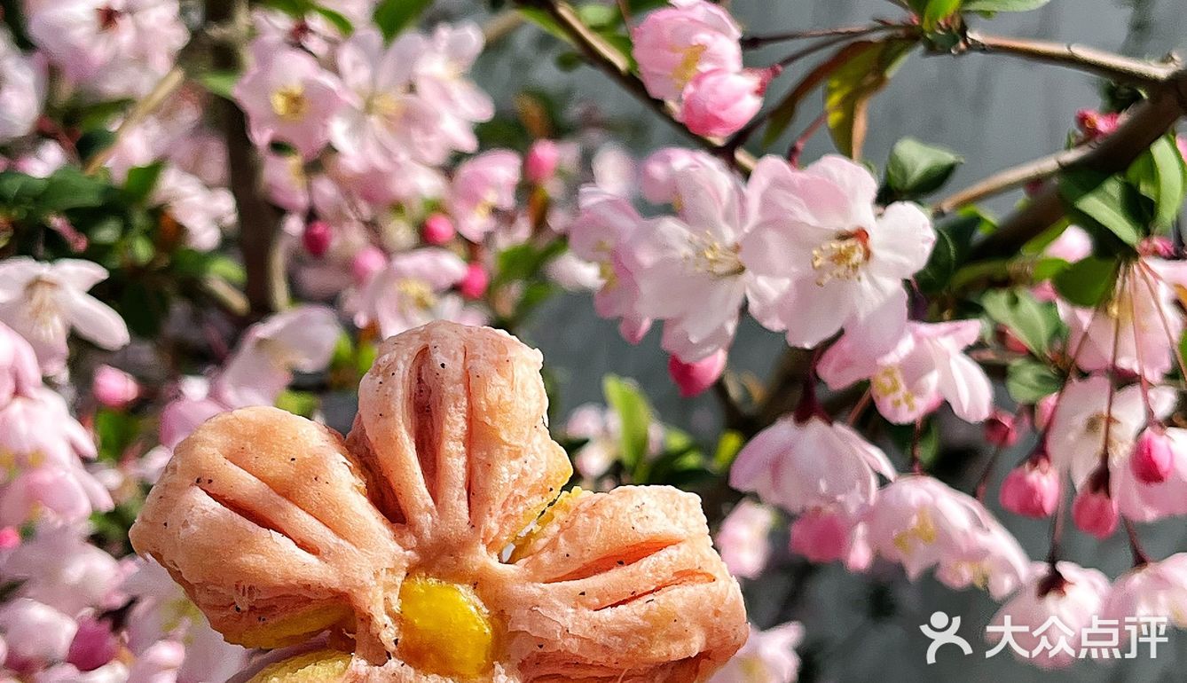 樱花提拉米苏🌸武汉的春日限定粉