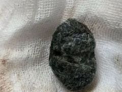 -派美特宠物医院·核磁CT·骨科肿瘤·疑难转诊(沈农禾丰店)